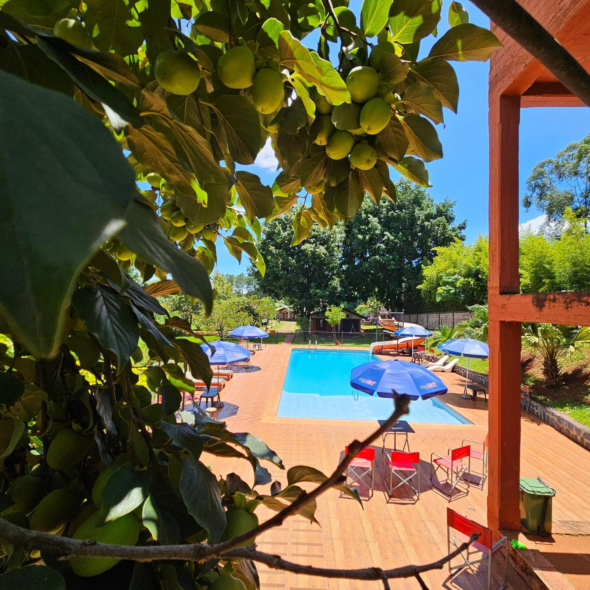 Cabanas El Refugio Del Mensu Puerto Iguazú Exteriör bild