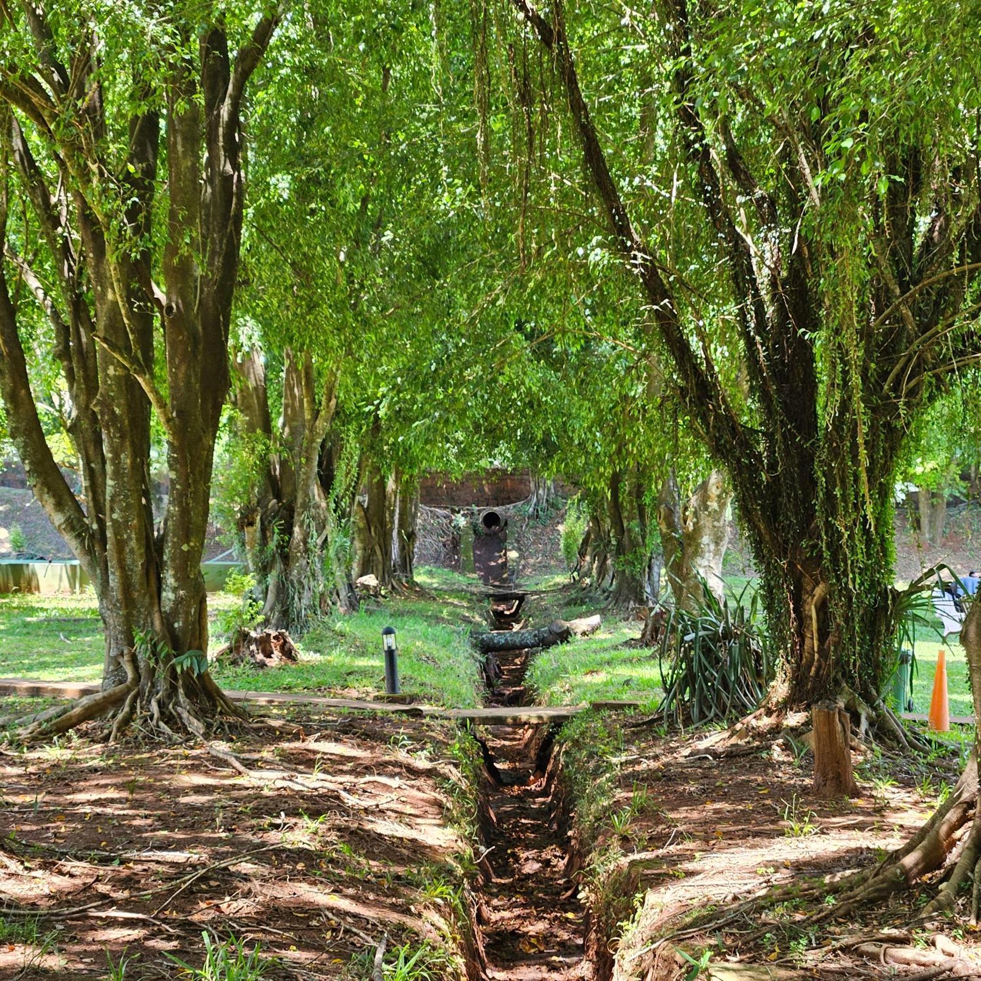 Cabanas El Refugio Del Mensu Puerto Iguazú Exteriör bild